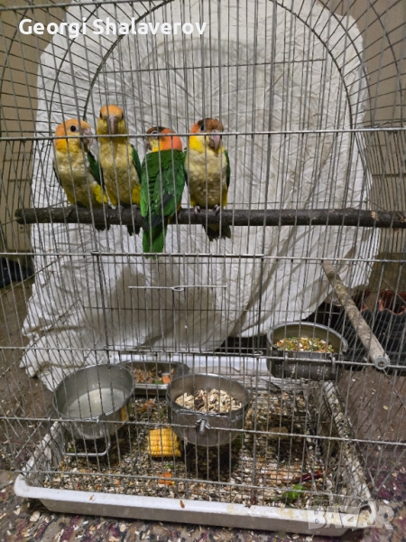 Продавам кайки, снимка 1