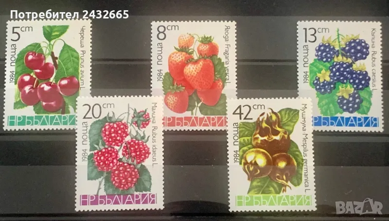 2418. България 1984 = БК 3303 /07: “ Флора. Плодове от сем. Розоцветни.“, **, MNH, снимка 1