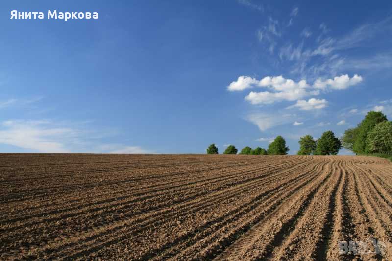 Купувам ЗЕМЕДЕЛСКА ЗЕМЯ всички землища в Община Сунгуларе, снимка 1