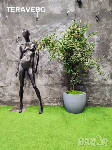 Изкуствени дървета и растения , снимка 12 - Изкуствени цветя - 48672514