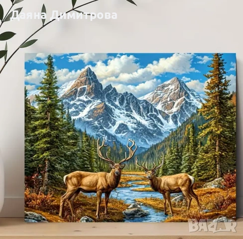 картина по номера 