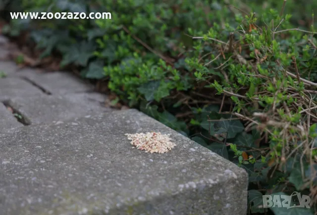 Репелентни гранули срещу кучета и котки, опаковка 2 х 200 гр. - KERBL - Модел: 80106, снимка 7 - Други стоки за животни - 49386399