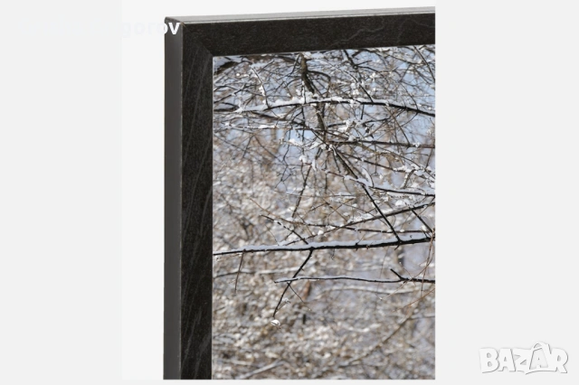 Фотокартина с дива свиня, снимка 2 - Картини - 53961236