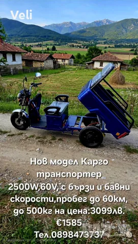 Карго транспортер 2500W, снимка 2 - Мотоциклети и мототехника - 55899992