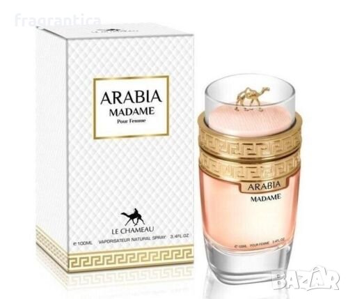 Emper Le Chameau Arabia Madame EDP 100ml парфююмна вода за жени, снимка 1 - Дамски парфюми - 39780646
