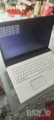 Sony Model-SVE171G12M