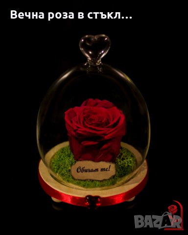 Подарък за рожден ден / Естествена Вечна Роза в Стъкленица / Уникален Подарък за Жена, снимка 6 - Други - 28122874