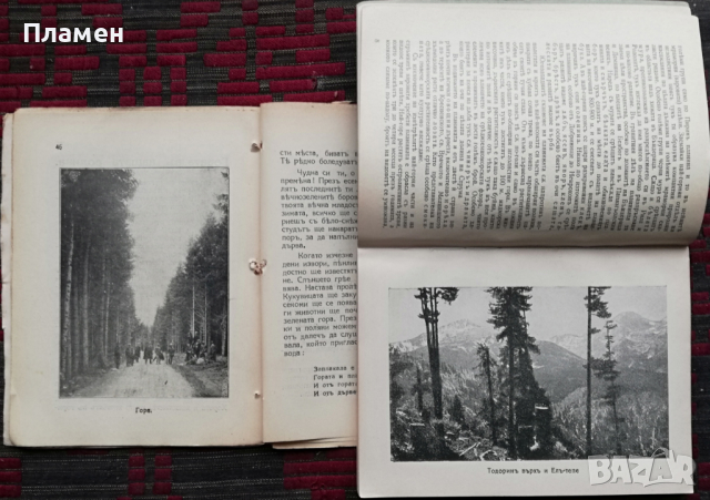 Библиотека "Нашата родина" Павелъ Делирадевъ /1929/, снимка 16 - Антикварни и старинни предмети - 36377406