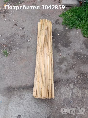 Рогозка от папрат