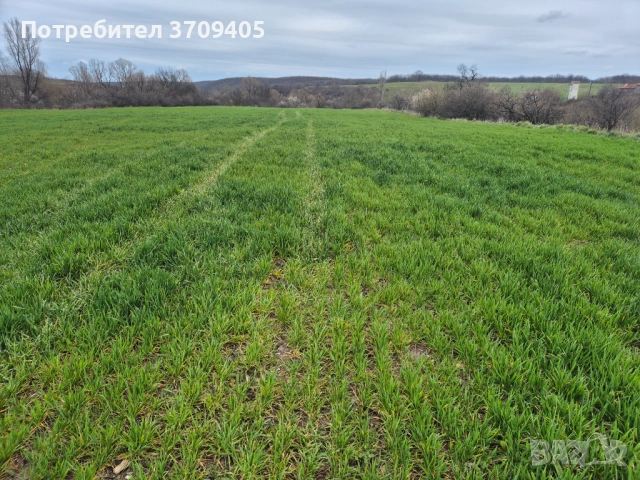 Продавам имот, снимка 3 - Земеделска земя - 53944861