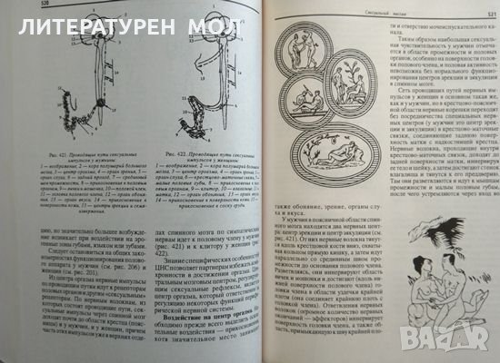 Энциклопедия массажа Массаж от А до Я - В. И. Дубровский 1998 г., снимка 8 - Специализирана литература - 29385974