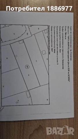 Продавам лозе гр.Силистра - от собственик, снимка 2 - Земеделска земя - 52410138