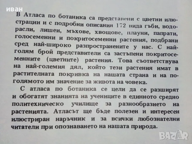 Атлас по Ботаника - Сл.Петров,Е.Паламарев - 1994г.  , снимка 3 - Наука, техника и компютри - 42277632