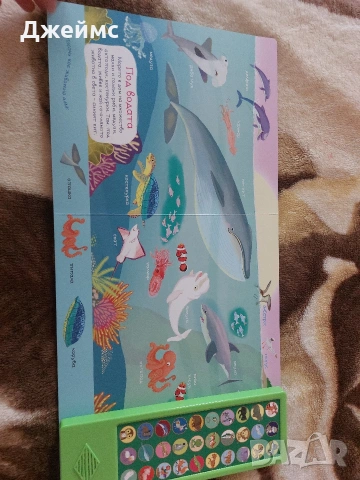 Музикална книжка с 30 реалистични звука на различни животни , снимка 5 - Детски книжки - 54064041