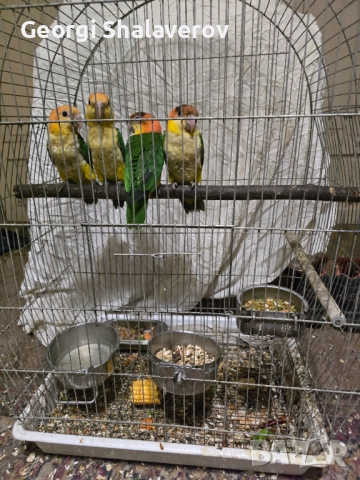 Продавам кайки