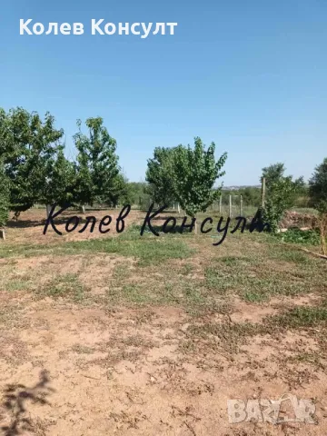 Продавам животновъдно и земеделско стопанство в град Симеоновград , снимка 17 - Земеделска земя - 48819919