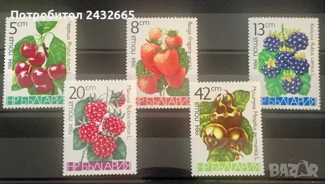 2418. България 1984 = БК 3303 /07: “ Флора. Плодове от сем. Розоцветни.“, **, MNH