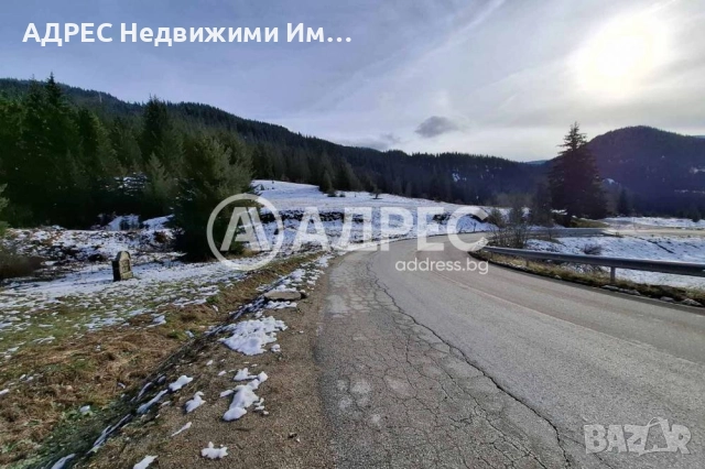 Продава, Парцел/ Терен, с. Стойките, общ. Смолян, снимка 4 - Парцели - 52718892