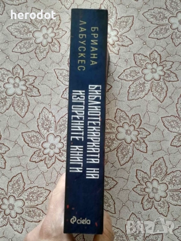 Библиотекарката на изгорените книги - Бриана Лабускес, снимка 2 - Художествена литература - 55992196