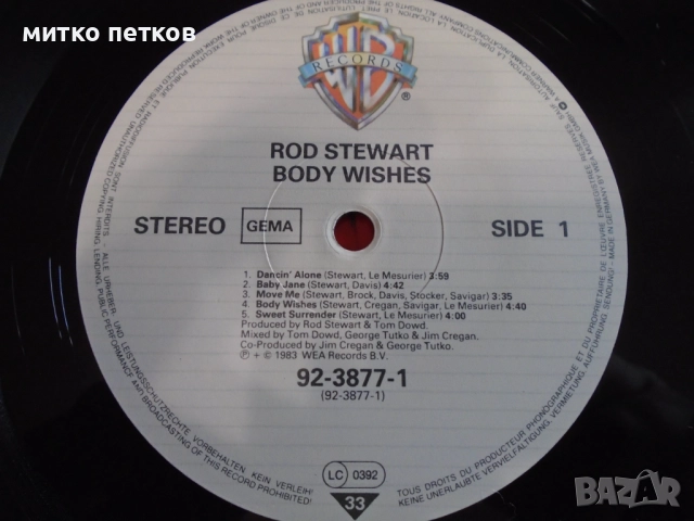 плочи Rod Stewart, снимка 6 - Грамофонни плочи - 52456383