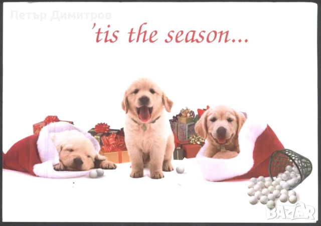 Поздравителна картичка за Коледа от САЩ