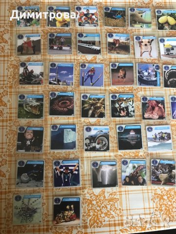 Колекционерски карти Рекордите на Гинес