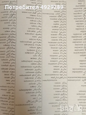 Фарханги забони точики, فرهنگ زبان تاجیکی, снимка 8 - Чуждоезиково обучение, речници - 55876298