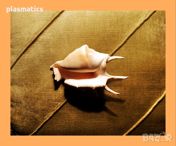 ключодържател кукличка / морска раковина, снимка 11 - Кукли - 46914612