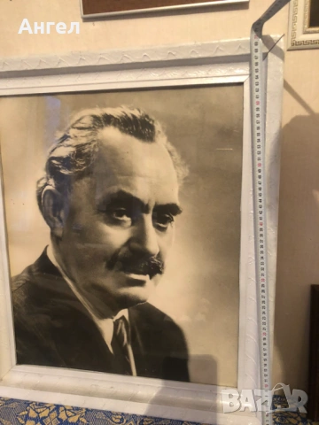 Портрет Георги Димитров 