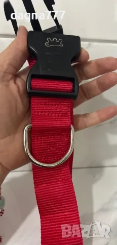 Немски нов нашийник средни и едри породи, снимка 8 - За кучета - 49462057