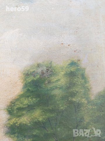 Стара маслена картина(Пейзаж-19 век), снимка 7 - Картини - 37879518