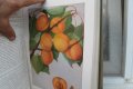 II том ''Българска помология'' 470 страници, снимка 5