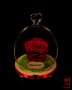 Подарък за рожден ден / Естествена Вечна Роза в Стъкленица / Уникален Подарък за Жена, снимка 6