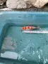 Комети и воални комети, снимка 14