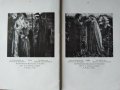 Neue folge miester des 19 Jahrhunderts. Meisterbilder von D. G. Rossetti (1828-1882), снимка 3