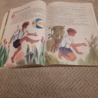 Детска книга Приключенията на Чипоноско, снимка 3 - Други ценни предмети - 31058334
