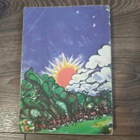 Книга Оцеола - Майн Рид, снимка 6 - Художествена литература - 31371167