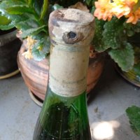 Стара бутилка,1976,уникална,единствена, снимка 9 - Антикварни и старинни предмети - 37482178