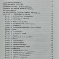 Стратегия за мускулно развитие Иван Дълбоков, снимка 2 - Други - 42390082