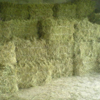 Продавам бали ливадно сено, снимка 1 - За селскостопански - 38944900