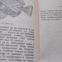 Опасни морски животни - Койка Александрова, снимка 8 - Българска литература - 42757311