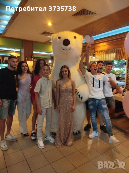 Голяма Бяла Мечка Изненада и Панда , снимка 1