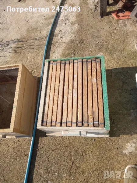 пчели, снимка 1