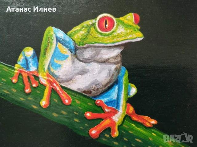 Красива картина на жаба, снимка 2 - Картини - 50783482