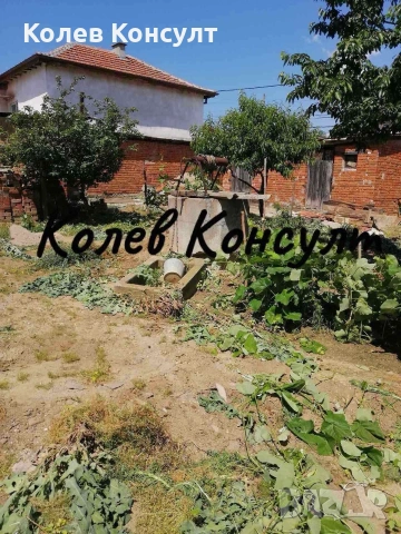 🥇Агенция „Колев Консулт“ продава едноетажна къща  село Славяново,областХасково, снимка 3 - Къщи - 54079726