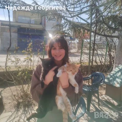 Хотел за котки ,кучета, зайци, гризачи и птици, снимка 4 - Ветеринари и услуги - 48148760