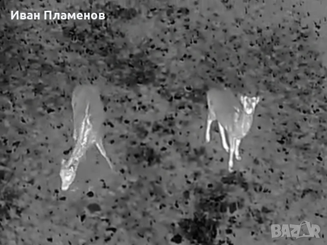 Услуги с термален термо дрон за нощно виждане ФЕЦ SAR Издирване на Хора Засичане Спасяване, снимка 8 - Други услуги - 53813380