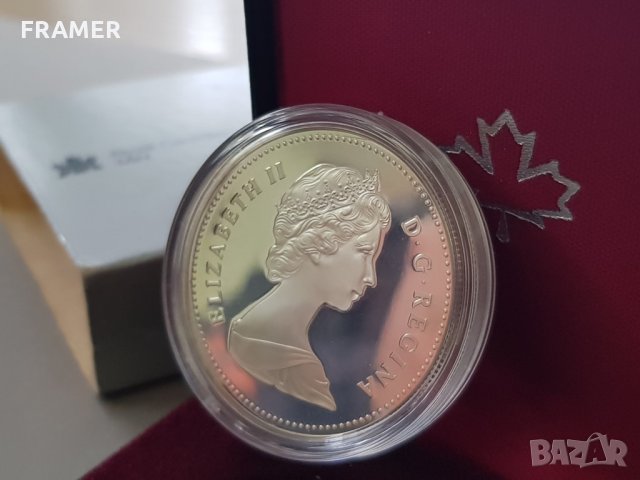 1 сребърен долар 1982 година Канада Елизабет II сребро в ТОП качество, снимка 6 - Нумизматика и бонистика - 35285175