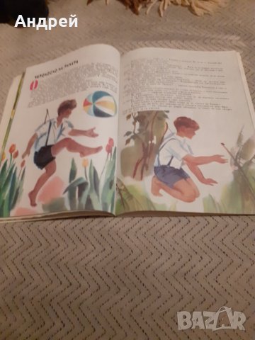 Детска книга Приключенията на Чипоноско, снимка 3 - Други ценни предмети - 31058334