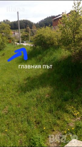 Продавам имот в землището на с.Момчиловци с квадратура 2700кв.м, снимка 4 - Земеделска земя - 37686757